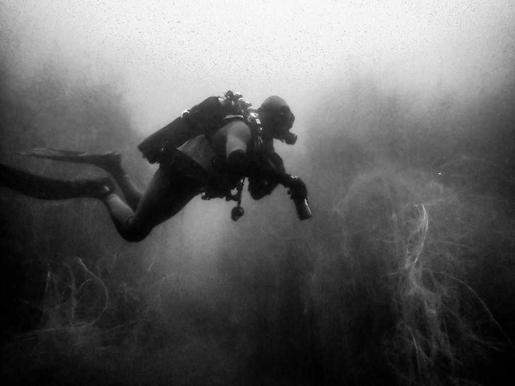 Eric BOULANGER Diving