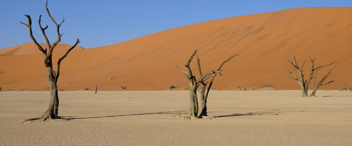 Pascal Dischert Dead Vlei