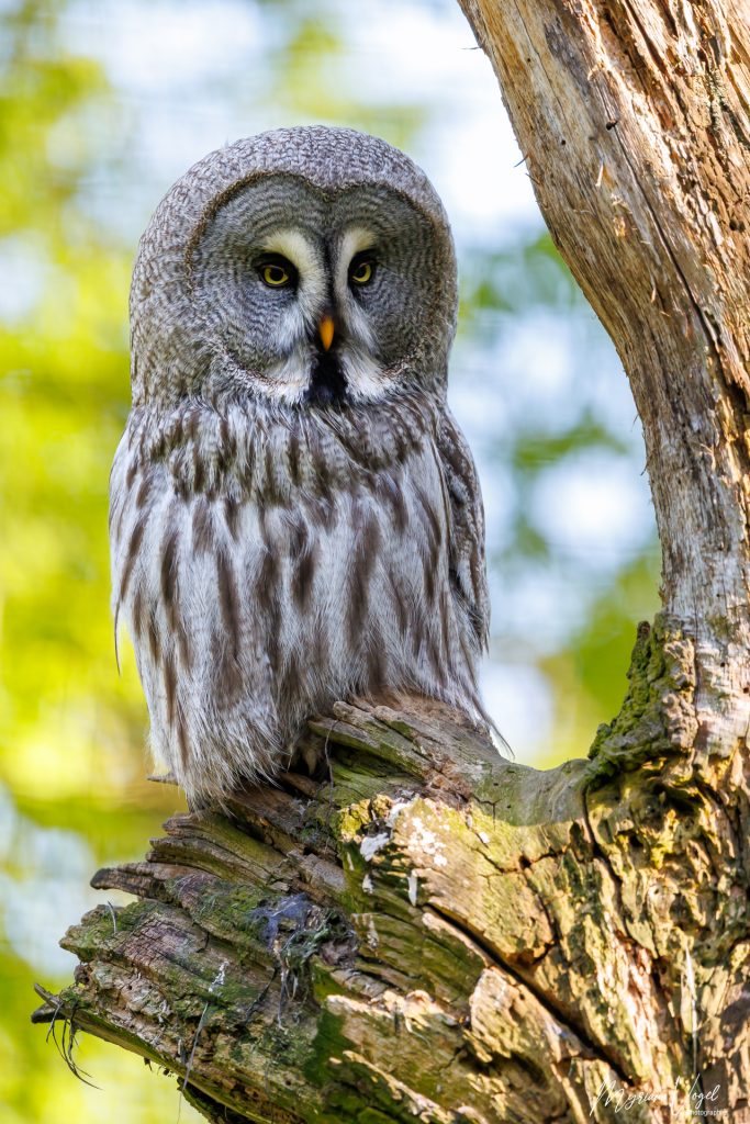 2025 04 28 Parc Sainte Croix 4303