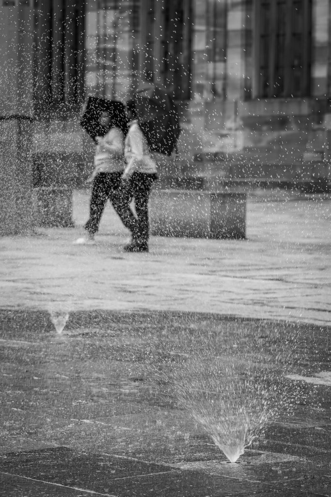 2025 06 04 DSC 3622 2