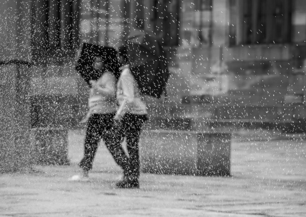 2025 06 04 DSC 3622 2