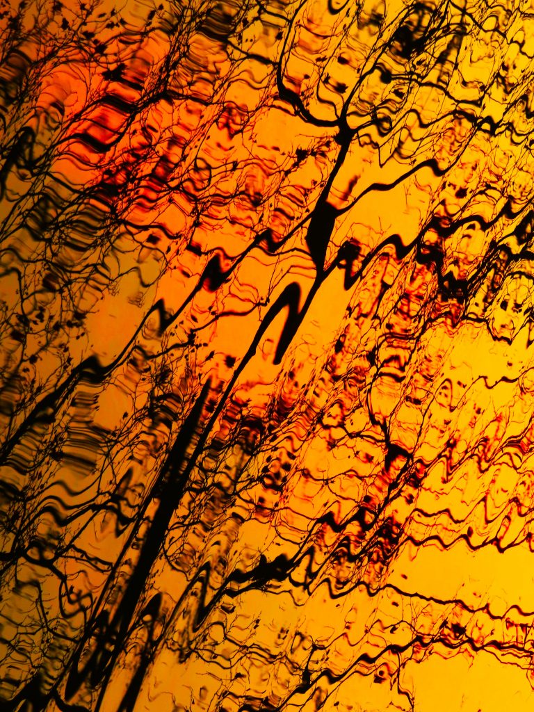 D'or et d'abstraction