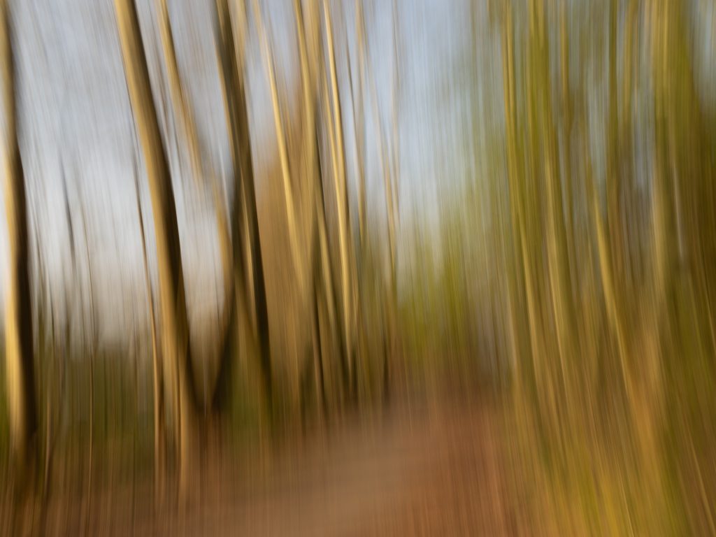 Photo de Sandra Wasser