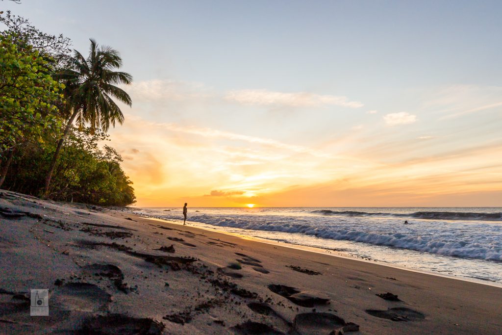 Aurélien KEMPF La plage de sable noir en Martinique