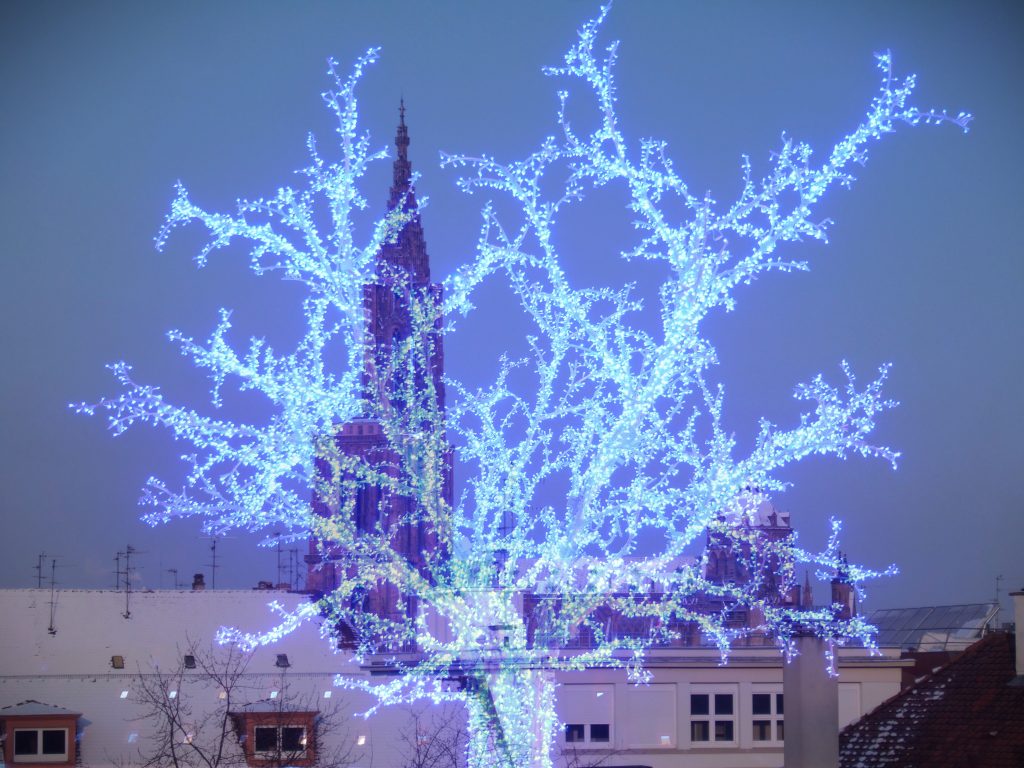 Strasbourg Arbre Bleu