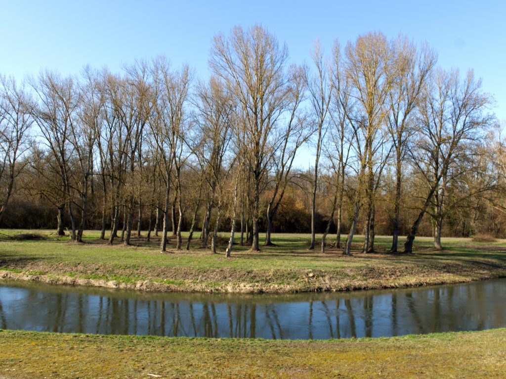 bientot le printemps la wantzenau