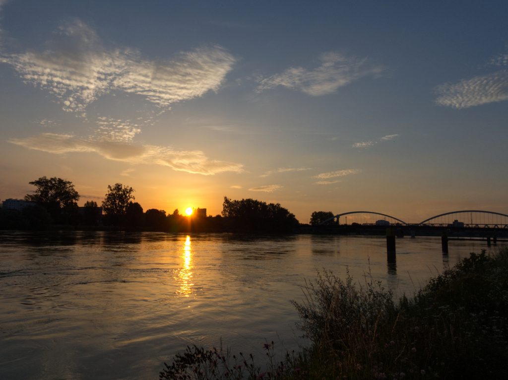 le rhin 1 jardin des deux rives strasbourg kehl