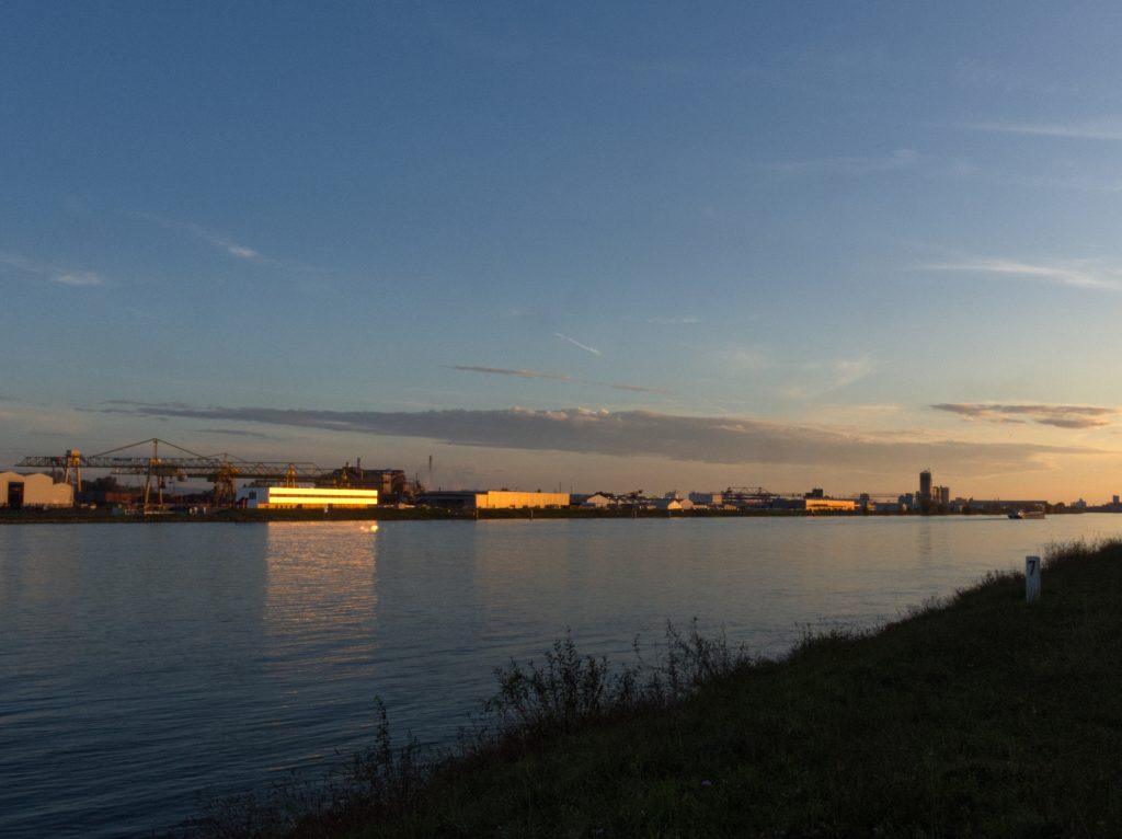 le rhin 2 forêt de la robertsau