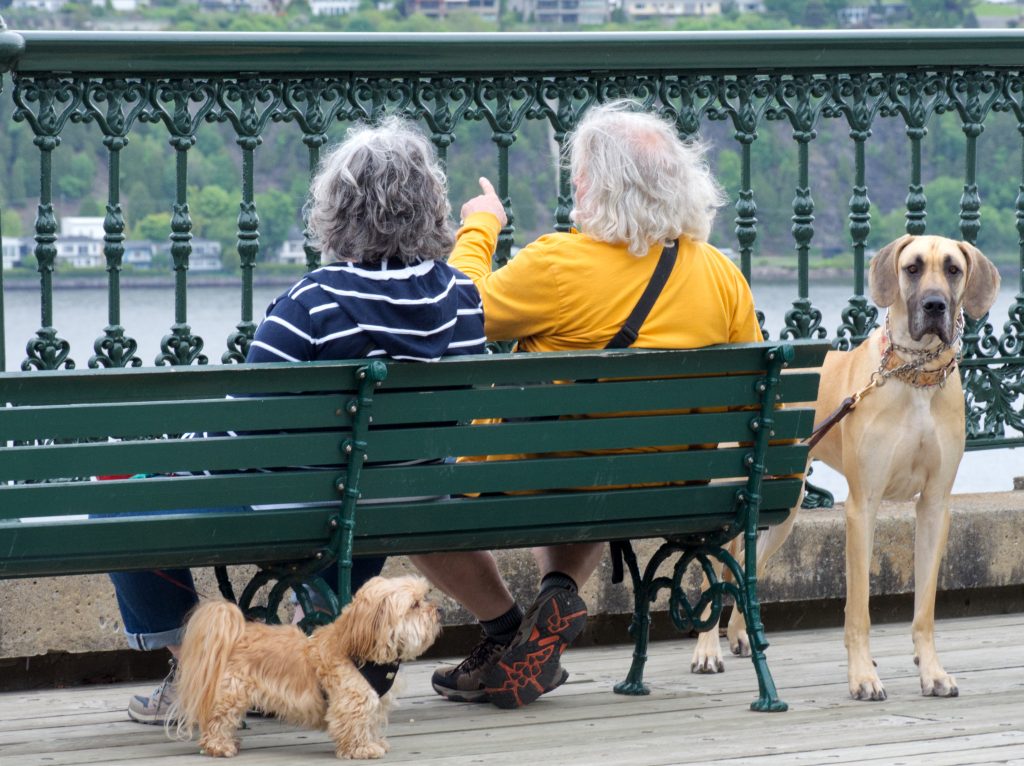 vue sur le saint laurent quebec