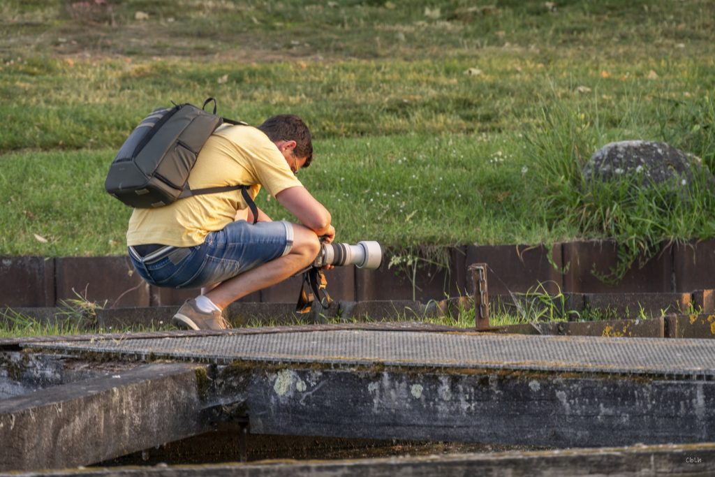 2026 05 26 DSC 9898
