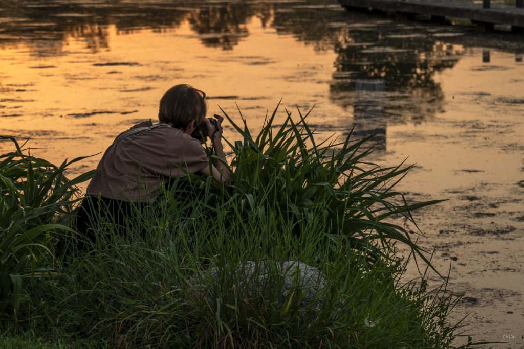 2026 05 26 DSC 9919