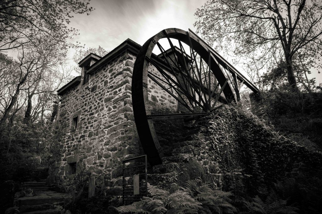 Myriam VOGEL Moulin