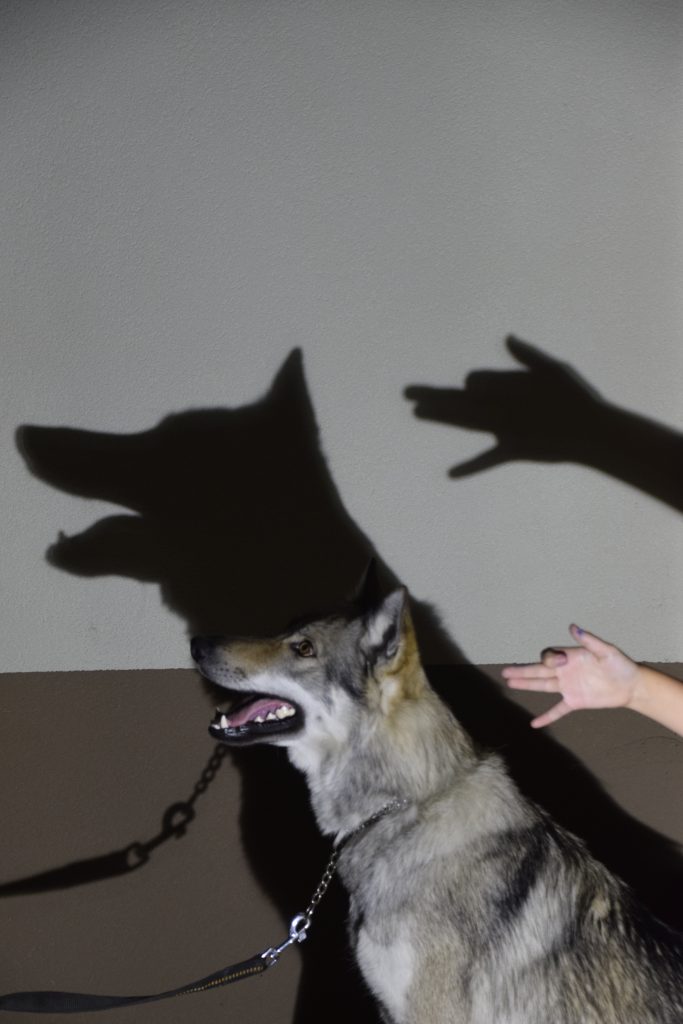 Mireille ZORES Le loup et l'enfant