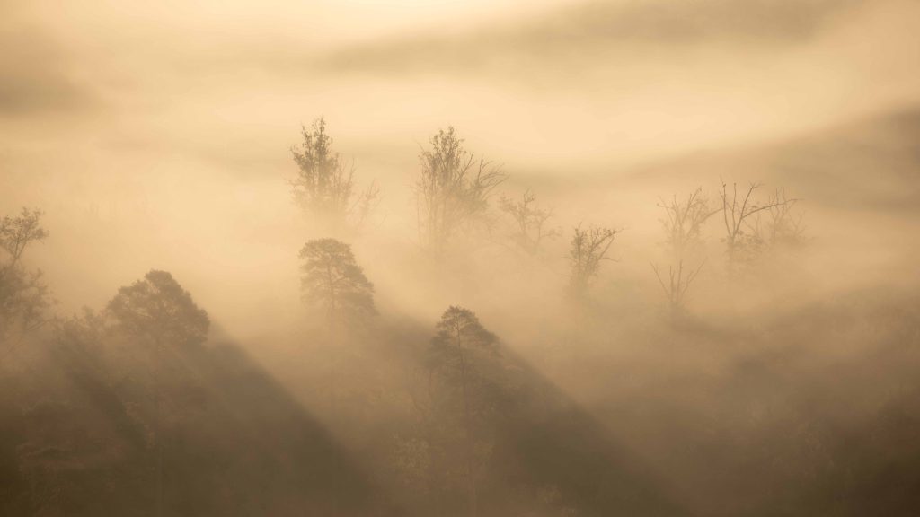 Patricia ECKERT AMbiance brumeuse